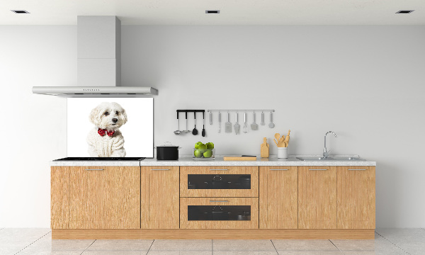 Rivestimento parete cucina con motivo di Maltese con papillon