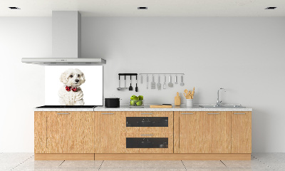 Rivestimento parete cucina con motivo di Maltese con papillon
