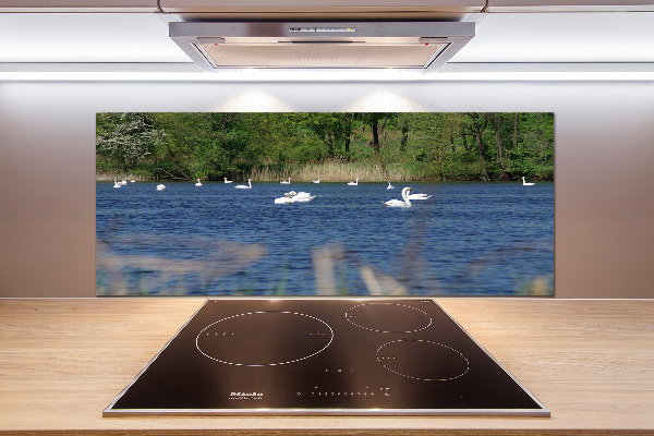 Rivestimento parete cucina con decorazione di cigni bianchi