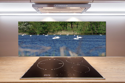 Rivestimento parete cucina con decorazione di cigni bianchi