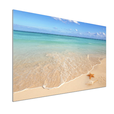 Pannello retrocucina con stampa di stelle marine su sfondo spiaggia