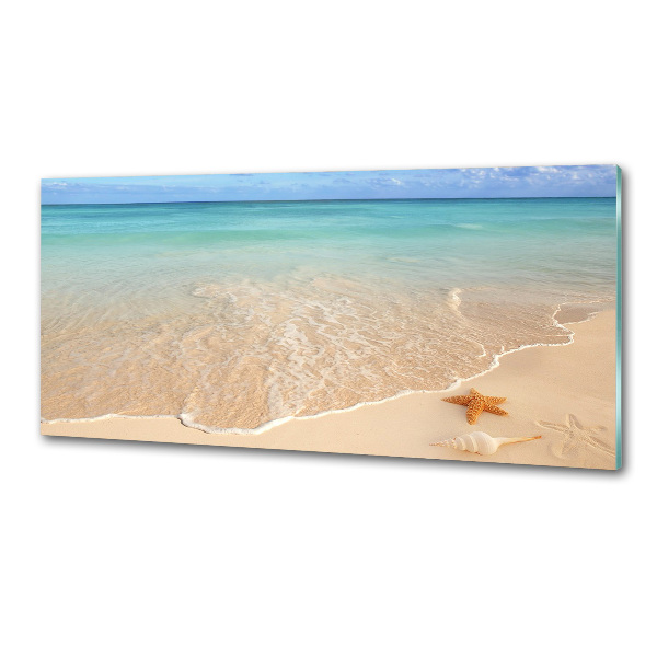 Pannello retrocucina con stampa di stelle marine su sfondo spiaggia