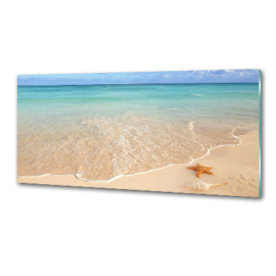 Pannello retrocucina con stampa di stelle marine su sfondo spiaggia