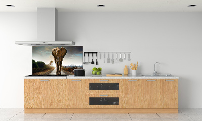 Rivestimento parete cucina decorativo con motivo 
