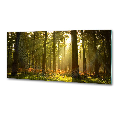 Rivestimento parete cucina con motivo 