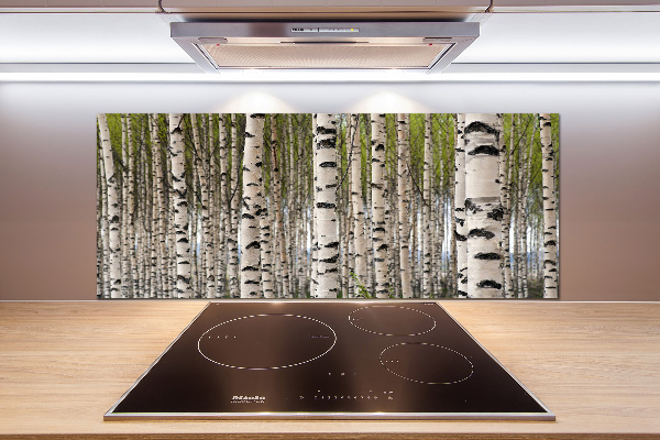 Rivestimento parete cucina con motivo foresta di betulle