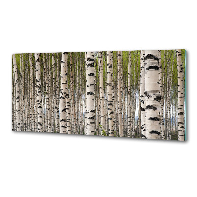 Rivestimento parete cucina con motivo foresta di betulle