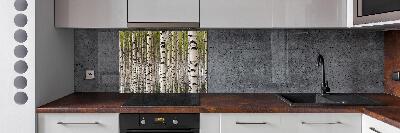 Rivestimento parete cucina con motivo foresta di betulle