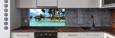 Pannello paraschizzi cucina con motivo di dinosauri