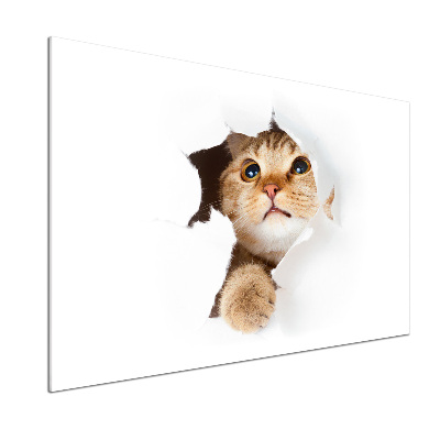 Rivestimento parete cucina con decorazione raffigurante un gatto in una buca