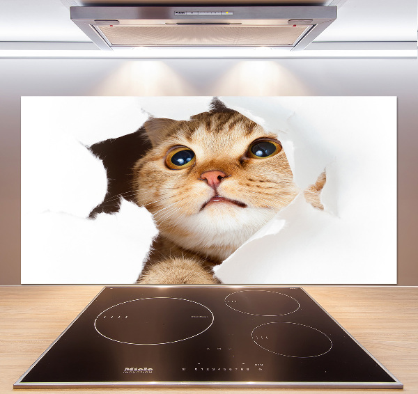 Rivestimento parete cucina con decorazione raffigurante un gatto in una buca