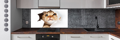 Rivestimento parete cucina con decorazione raffigurante un gatto in una buca