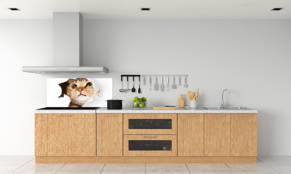 Rivestimento parete cucina con decorazione raffigurante un gatto in una buca