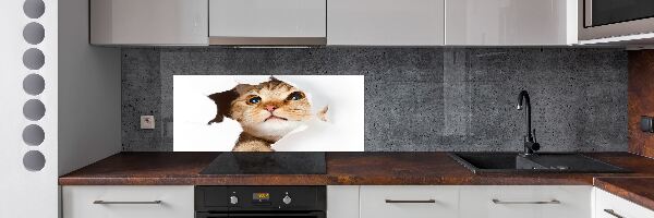 Rivestimento parete cucina con decorazione raffigurante un gatto in una buca