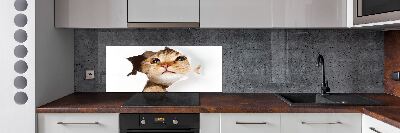 Rivestimento parete cucina con decorazione raffigurante un gatto in una buca