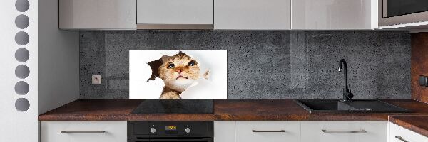 Rivestimento parete cucina con decorazione raffigurante un gatto in una buca
