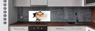 Rivestimento parete cucina con decorazione raffigurante un gatto in una buca