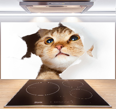 Rivestimento parete cucina con decorazione raffigurante un gatto in una buca