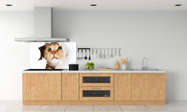 Rivestimento parete cucina con decorazione raffigurante un gatto in una buca