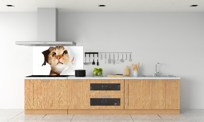 Rivestimento parete cucina con decorazione raffigurante un gatto in una buca
