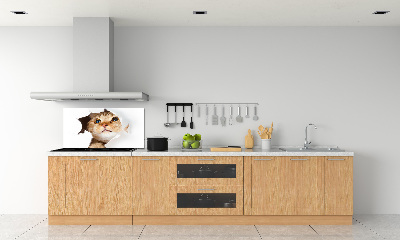 Rivestimento parete cucina con decorazione raffigurante un gatto in una buca