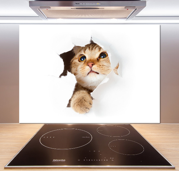 Rivestimento parete cucina con decorazione raffigurante un gatto in una buca