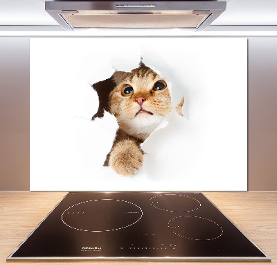 Rivestimento parete cucina con decorazione raffigurante un gatto in una buca