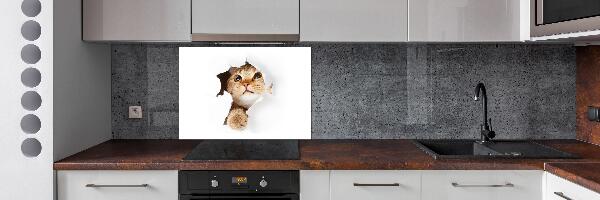 Rivestimento parete cucina con decorazione raffigurante un gatto in una buca