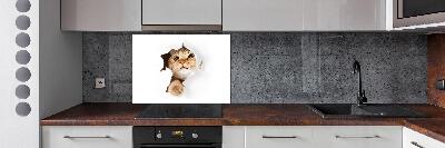 Rivestimento parete cucina con decorazione raffigurante un gatto in una buca