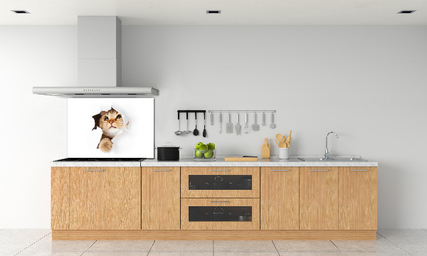 Rivestimento parete cucina con decorazione raffigurante un gatto in una buca