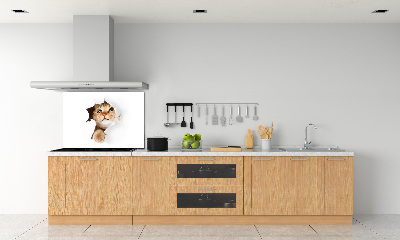 Rivestimento parete cucina con decorazione raffigurante un gatto in una buca