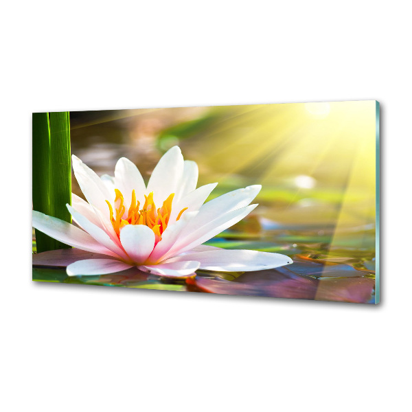 Pannello retrocucina con motivo Ninfea