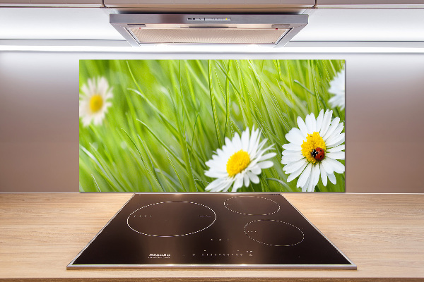 Pannello paraschizzi cucina con decorazione a margherite