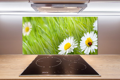 Pannello paraschizzi cucina con decorazione a margherite