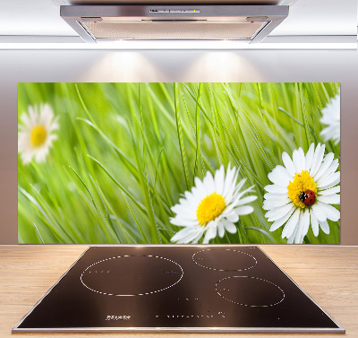 Pannello paraschizzi cucina con decorazione a margherite