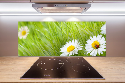 Pannello paraschizzi cucina con decorazione a margherite