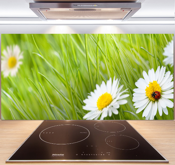 Pannello paraschizzi cucina con decorazione a margherite