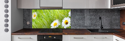 Pannello paraschizzi cucina con decorazione a margherite