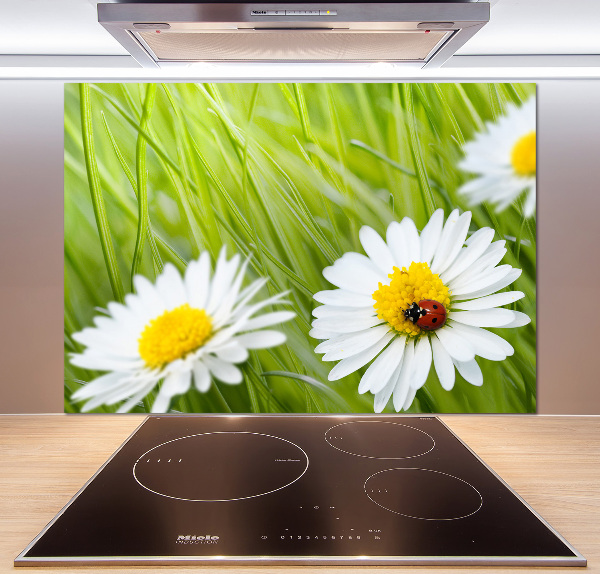 Pannello paraschizzi cucina con decorazione a margherite