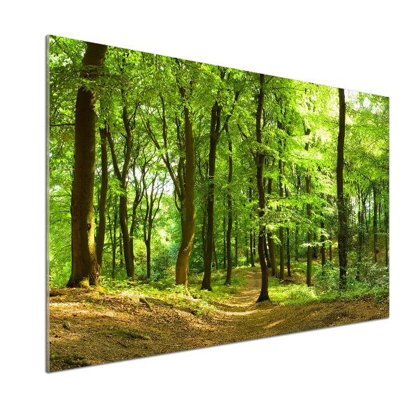 Rivestimento parete cucina con motivo «Sentiero nel bosco»