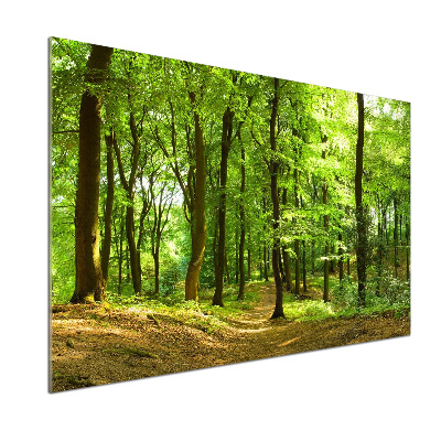 Rivestimento parete cucina con motivo «Sentiero nel bosco»