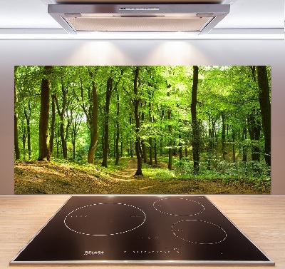 Rivestimento parete cucina con motivo «Sentiero nel bosco»