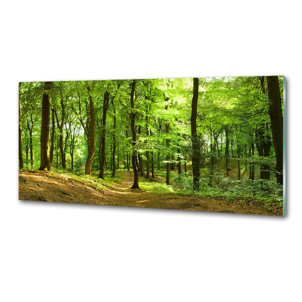 Rivestimento parete cucina con motivo «Sentiero nel bosco»