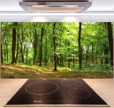 Rivestimento parete cucina con motivo «Sentiero nel bosco»