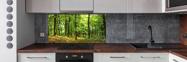 Rivestimento parete cucina con motivo «Sentiero nel bosco»
