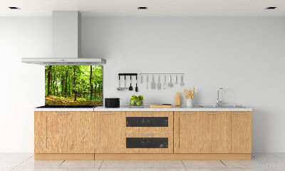 Rivestimento parete cucina con motivo «Sentiero nel bosco»