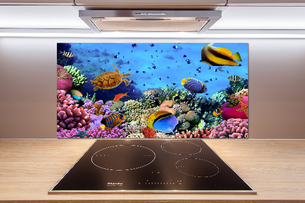 Pannello retrocucina con motivo barriera corallina