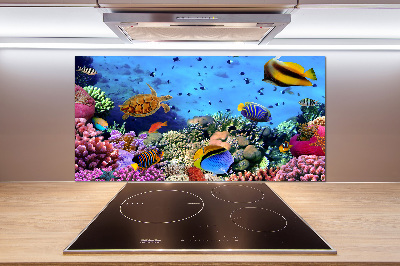 Pannello retrocucina con motivo barriera corallina