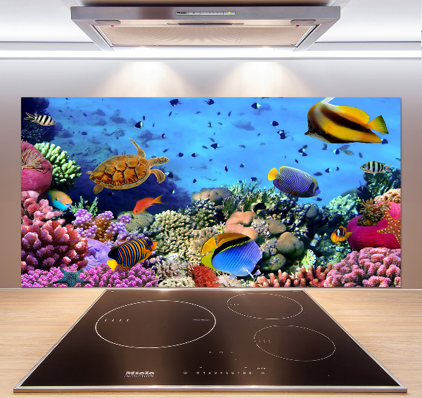 Pannello retrocucina con motivo barriera corallina