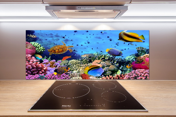 Pannello retrocucina con motivo barriera corallina